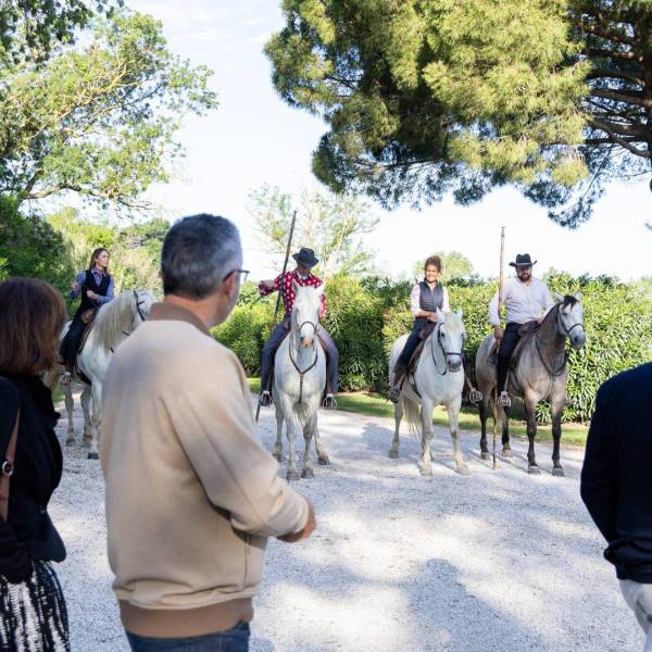 Séminaire en Camargue
