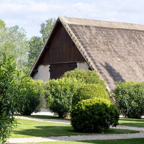 Séminaire en Camargue