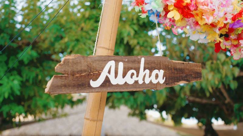 Soirée d’entreprise : Thème “Aloha Party” à Toulon, Marseille et partout en région PACA