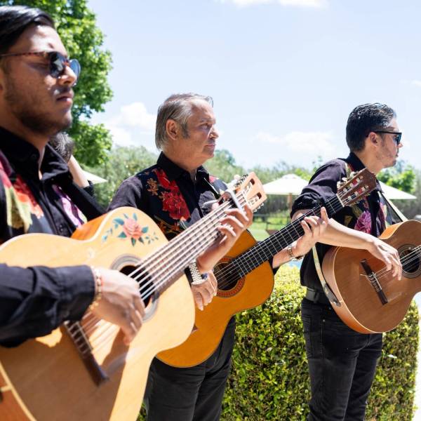 Déjeuner Garden Party Camarguaise avec quatuor de musiciens Gypsy