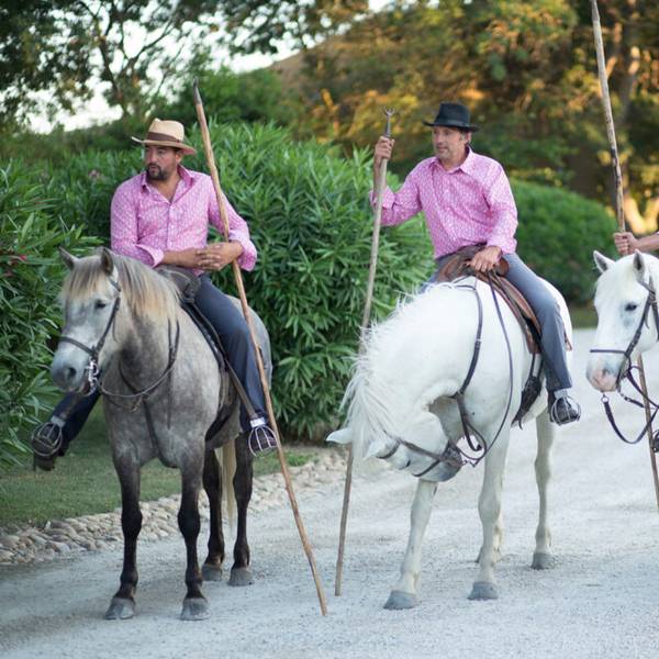 Image cavaliers camarguais et chevaux 